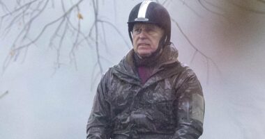 Inside former Prince Andrew's humiliating last Royal Lodge Christmas