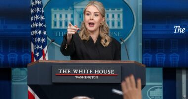 Inside the campaign to replace Karoline Leavitt