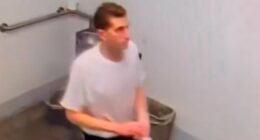 Investigative journalist: Bryan Kohberger becoming Hannibal Lecter