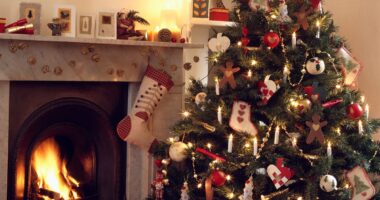 Investment experts reveal the funds they'd stick in their Christmas stockings