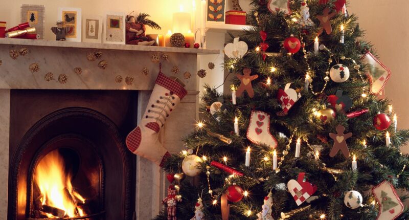 Investment experts reveal the funds they'd stick in their Christmas stockings