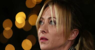 Italy may not support EU-Mercosur free trade deal without changes