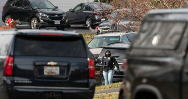 J6 Chair Makes Jaw-Dropping Claim: Pipe Bomb Videos Outside RNC and DNC Deleted—‘Doesn’t Exist’