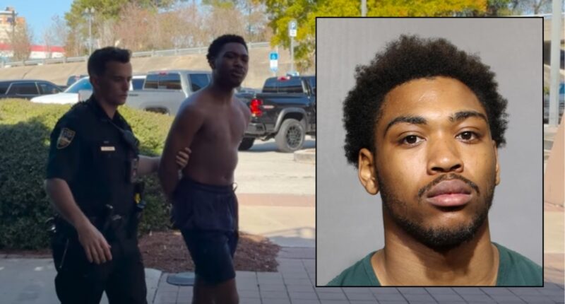 JSO: 19-year-old arrested for attempted murder of five people at Arlington house party