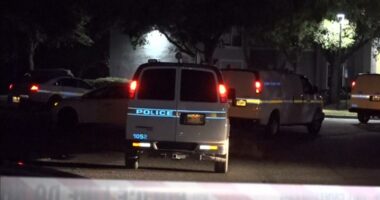 Jacksonville domestic violence incidents highlight uptick often seen during holiday season