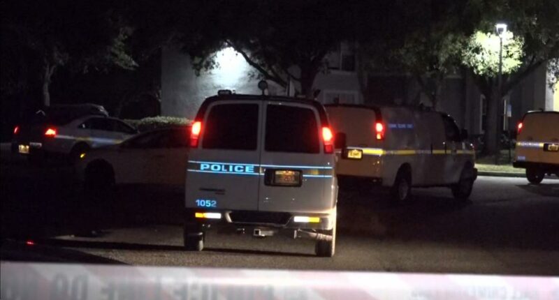 Jacksonville domestic violence incidents highlight uptick often seen during holiday season