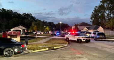 Jacksonville police investigating shooting in Pinecrest neighborhood off Normandy Boulevard