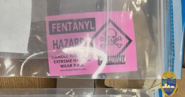 Jacksonville sheriff addresses 'significant drop' in overdose-related deaths since 2022