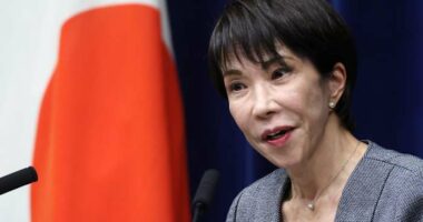 Japan's Cabinet OKs record defense budget that aims to deter China