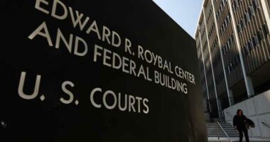 Judge dismisses criminal case against TikTok streamer held in immigration detention