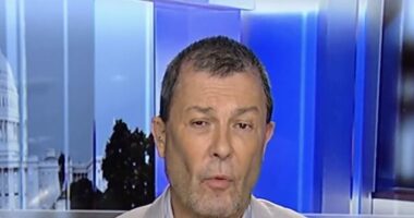 Julian Epstein: Dems Keep Going Down 'Welfare State and Identity Politics' Rabbit Hole