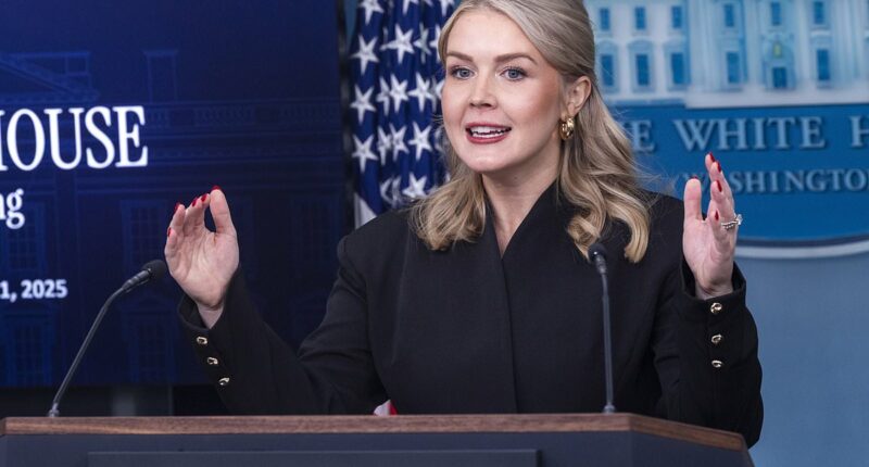 Karoline Leavitt slams Kaitlan Collins over CNN sale in heated back-and-forth