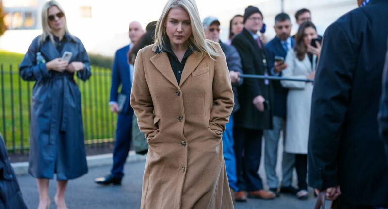 Karoline Leavitt's links to relative detained by ICE exposed