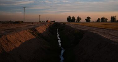 Kerri Ann Abatti killed: California farmer Michael Abatti arrested on suspicion of murder in wife's death in Arizona