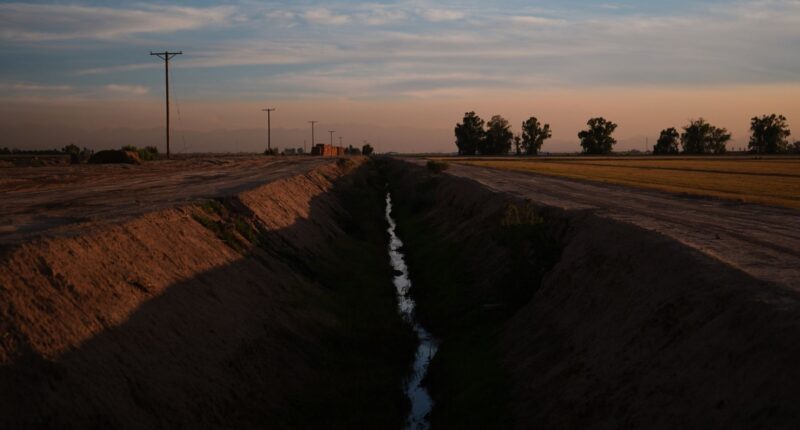 Kerri Ann Abatti killed: California farmer Michael Abatti arrested on suspicion of murder in wife's death in Arizona