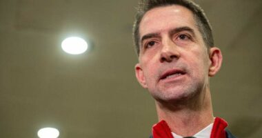 Key GOP senator says he has no objection to releasing video of strike that killed two survivors