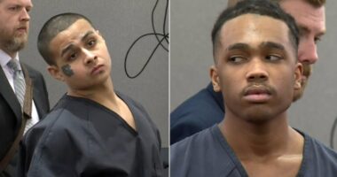 Las Vegas men who pleaded guilty to mowing down retired police chief learn sentence