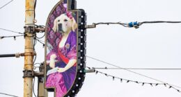 Laurence Llewelyn-Bowen's 'naff' Blackpool illuminations split opinion