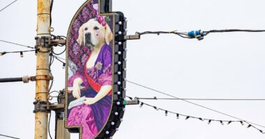 Laurence Llewelyn-Bowen's 'naff' Blackpool illuminations split opinion