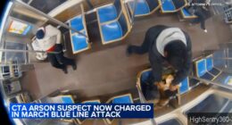 Lawrence Reed, man accused in CTA Blue Line fire attack, facing new charges in separate alleged att. sex assault near Grand stop