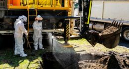 Cleanup workers are seen undertaking maintenance on a sewage pipe in Wentworth Park.