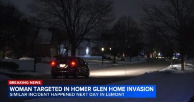 Lemont, Homer Glen home invasions: 2 women, ages 73 and 65, tied up, robbed by 3 suspects, Will County sheriff says