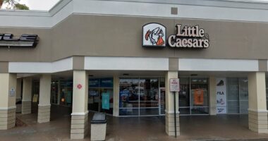 Little Caesars in Palm Beach find rats' scat INSIDE pizza dough