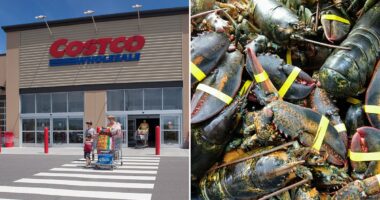Lobster shipment worth $400k hijacked before reaching Costco stores