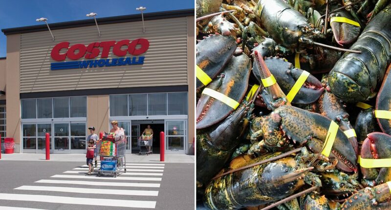 Lobster shipment worth $400k hijacked before reaching Costco stores
