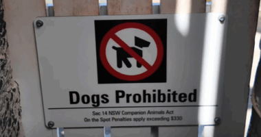 Sydneysiders are up in arms about a council decision to prohibit dogs from a popular beach in the affluent eastern suburbs.