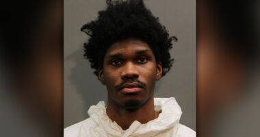 Long Island man stabbed roommate to death in fight: cops