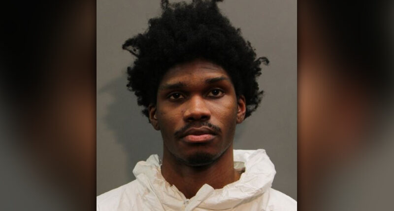 Long Island man stabbed roommate to death in fight: cops