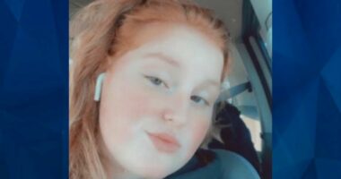 Love Triangle Ends with Pregnant TN Woman Dead, Beaten with Bat and Stabbed