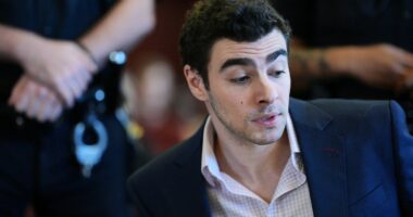 Luigi Mangione said 'all these people here for a mass murder, why?' at arraignment: police officer