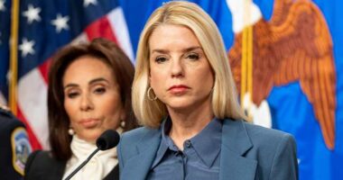 Luigi Mangione‘s lawyers say Bondi’s death penalty decision was tainted by conflict of interest