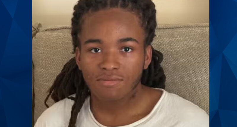 MISSING: Search Underway for Autistic Boy Whose Backpack Was Found Near Dock