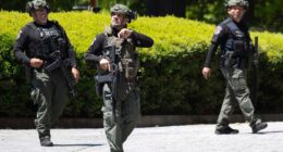 Major cities see violent crime surge as national rates plummet significantly in 2025: survey