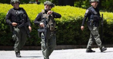 Major cities see violent crime surge as national rates plummet significantly in 2025: survey