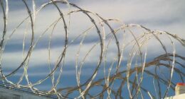 Adelaide prison security breach