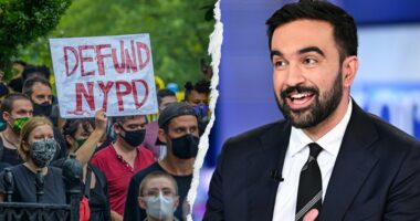 Mamdani-appointed NYC professor who wrote book on ending policing now tasked with shaping community safety