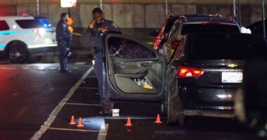 Man, 54, struck three times in Bronx shooting