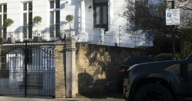 Man at war with council after erecting ELECTRIC FENCE