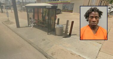 Man beats victim with TV, then rolls body to bus stop: Cops