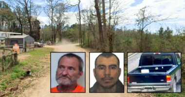 Man burned, buried murder-for-hire victim with a backhoe: DA