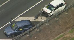 The driver of the white Kia, a woman in her 30s, is cooperating with police.