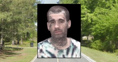 Man hijacked ambulance, then fatally shot woman: Police