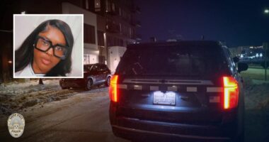 Man murdered girlfriend at kid's birthday party: Cops