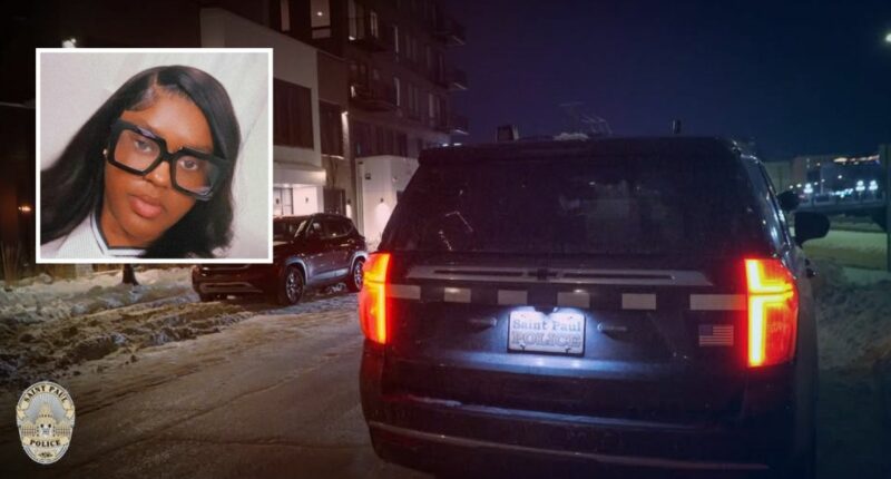 Man murdered girlfriend at kid's birthday party: Cops