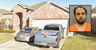 Man repeatedly stabbed his mom, said he had to do it: Cops