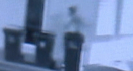 Man seen running for his life after being stabbed in the neck in Adelaide